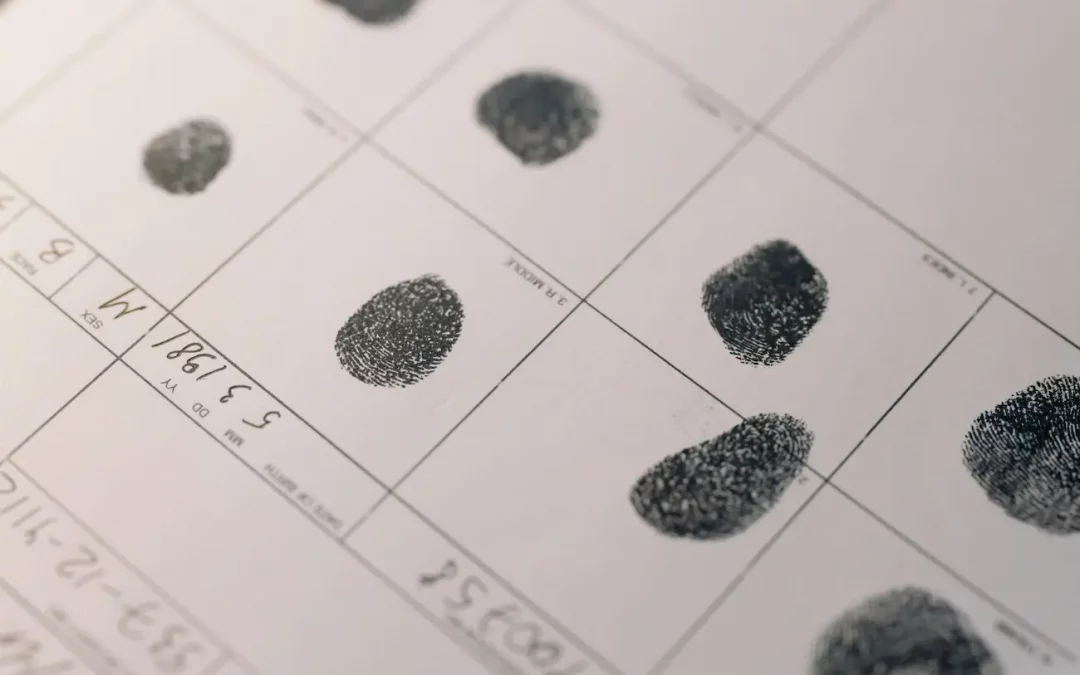 ¿Qué es una exhumación y para qué se realiza?